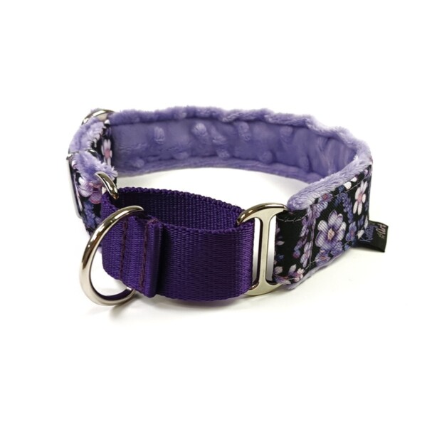 Obroża martingale